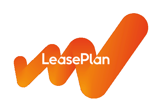 Logo des Reifenherstellers DEBICA